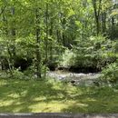 Come Celebrate My Birthday 🎂's picture