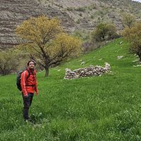 Mohsen Bagheri Ghahfarrokhi's Photo