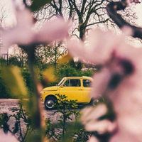 Gamil Mohamed's Photo