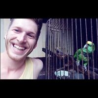 David  Bollinger的照片