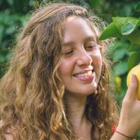 Sapir Shenie的照片