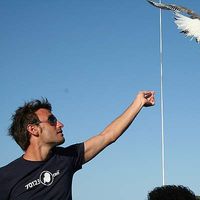 Francesco D'Errico's Photo