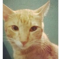 Erikson Baylon's Photo