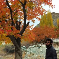 Aman  Mishra's Photo