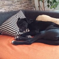 Elisabeth Vogl's Photo