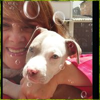 Annie CHAVES's Photo