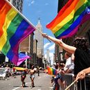 фотография LGBT+ Parade 🏳️‍🌈