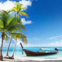 Fotos de Vlad Shchukin