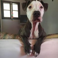 Photos de Emanuele Poggi