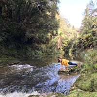 Jessica van den Ende's Photo