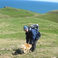 Julie Carpentier的照片