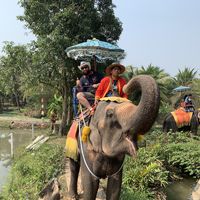 Wali Hassan的照片