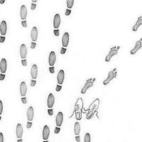 Sébastien LONGUET's Photo