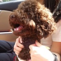 Photos de Yize Zhang