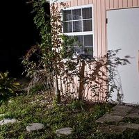 Kristen Bellomo的照片