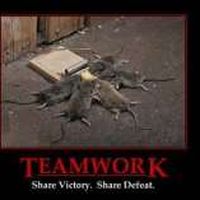 Christian Herzog's Photo