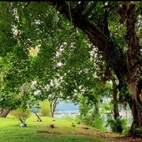 Saneeja Sageer's Photo