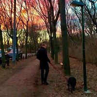 Ulrich Steinhagen's Photo