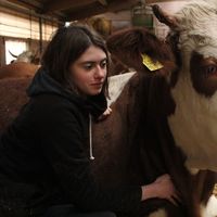 Carola Dietl的照片