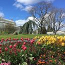 Stroll around Botanic Gardens and Glasnevin graves's picture