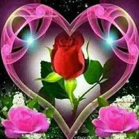 Fotos de Sara Abdelhamed