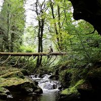 Chris Williams的照片