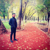 MEHMET ERSOY的照片