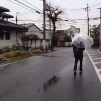 Tala Pamungkas的照片