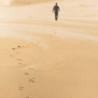 Mason Meghdad的照片