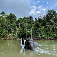 Rivana Amelia's Photo