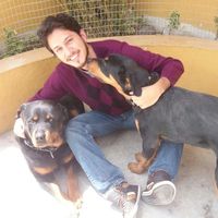 Sebastián Yépez的照片