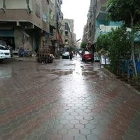 محمد نورالدين's Photo