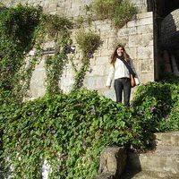 Tâmara Moreno的照片