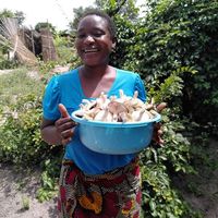 Namwaka Waluka Mufaya's Photo