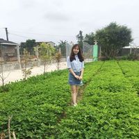 Fotos von Phuong Thao