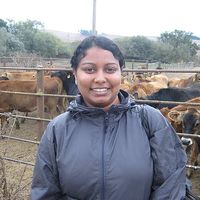 Anita  Deshpande的照片