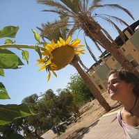 Sarah Schuldenfrei的照片