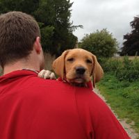 James Morris的照片