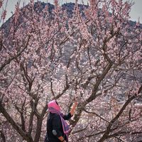 Sumayya Kamran's Photo