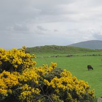 Nicolás Campiti's Photo