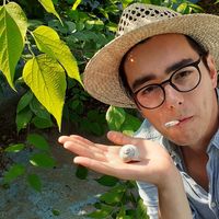 László Sipos的照片