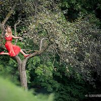 Larissa Koch的照片