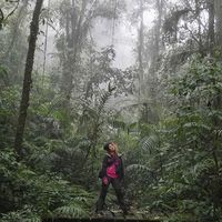 Fotos de Iris Calleja