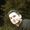 Mohammad H's Photo