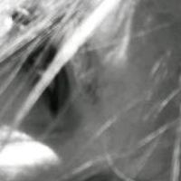 Mirdalia Lebourgeois's Photo