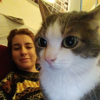 Fotos von Stefania Fiorini