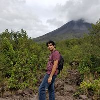 Hippy In Disguise's Photo