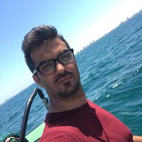 hamze ghiasi的照片