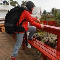 Фотографии пользователя Alicer Hoo