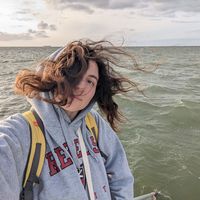 Nino Shashiashvili的照片